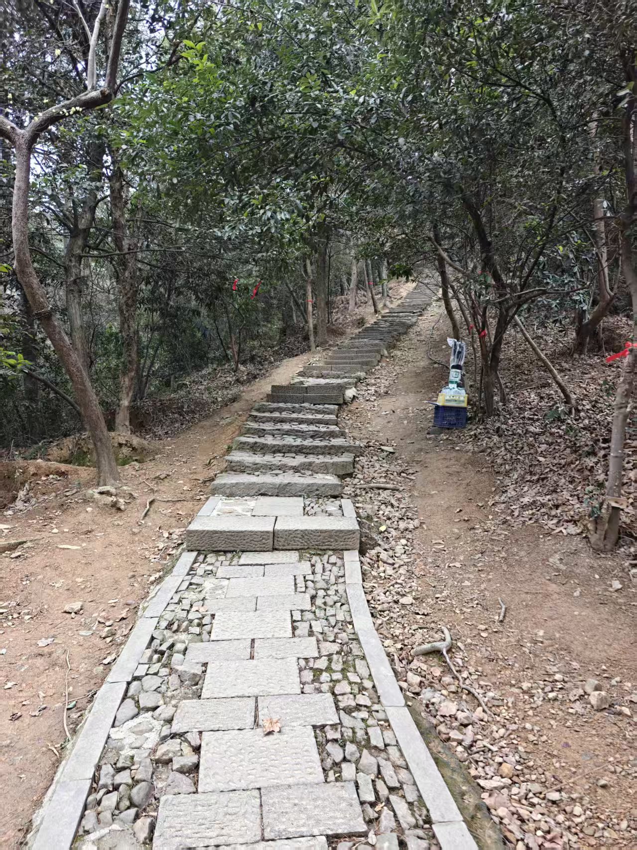 再次走进熟悉的办公楼