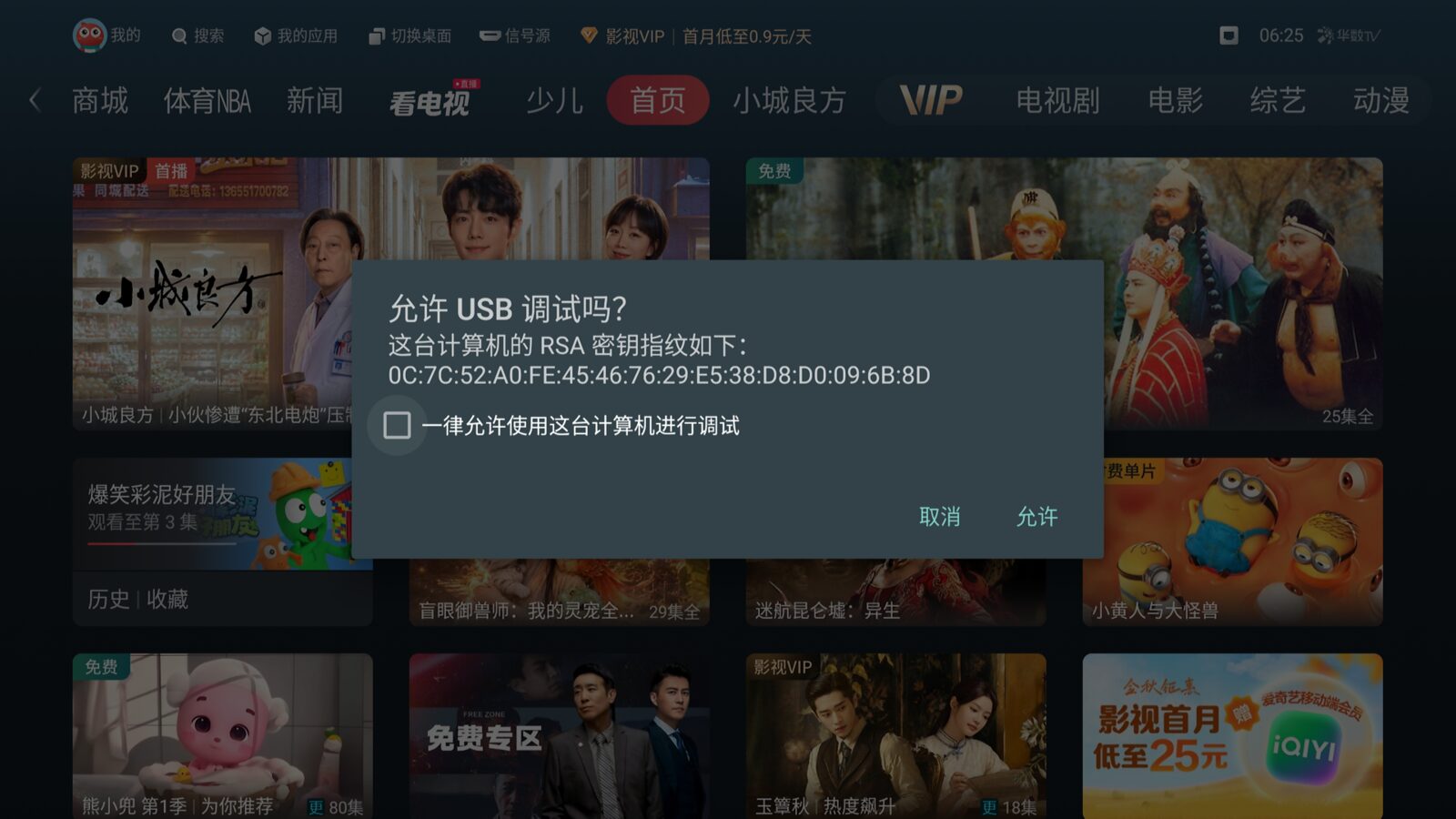 Can CleanYourTV Debloat a Hisense? I Ran the Whole Thing on My Own VIDAA_TV Set